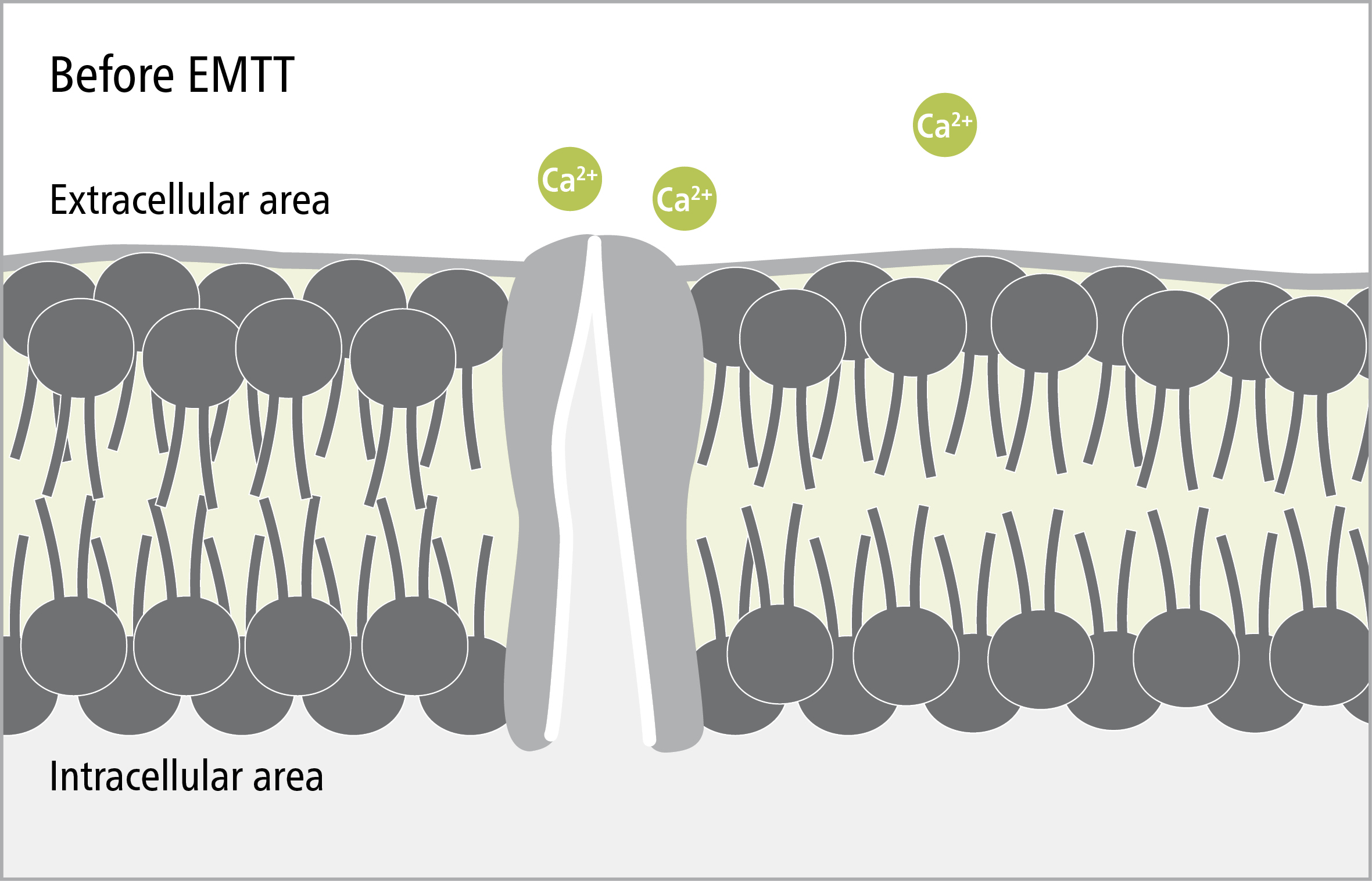 brochure_magnetolith_ultra_plus_007a